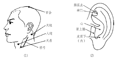 头部按摩 头部按摩