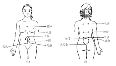 躯干部按摩 躯干部按摩