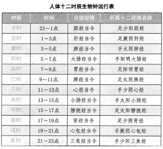 人体十二时辰生物钟运行表