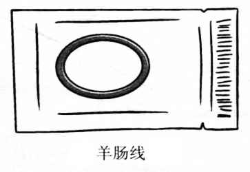 羊肠线
