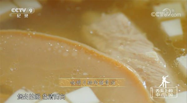 响螺片椰肉猪骨汤