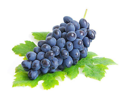 葡萄