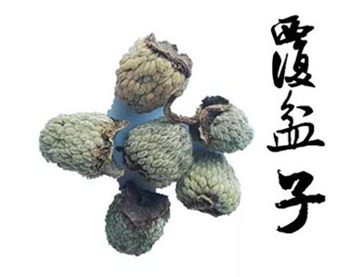 覆盆子