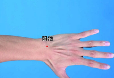 阳池穴