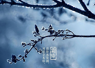 霜降节气
