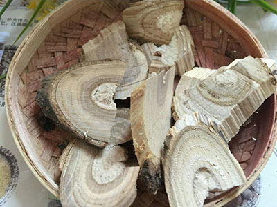 鹰不泊根