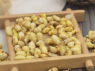 豆卷