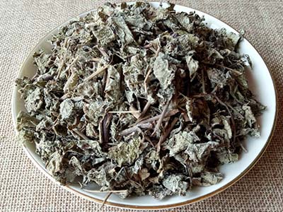 显齿蛇葡萄