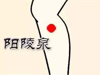 阳陵泉穴