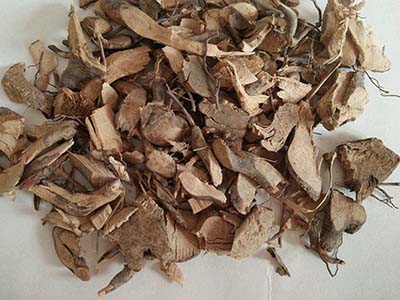 茅莓根