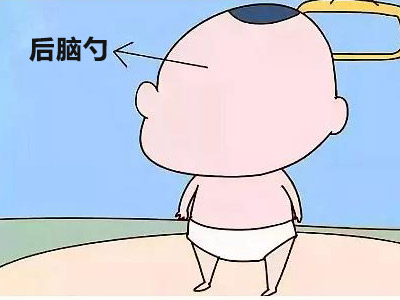 后脑勺