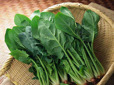菠菜