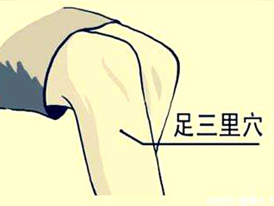 足三里穴